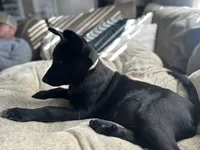 processed/1a3afd98-8be1-4e46-94cf-58296cd1c8e9/listing/21d5ac90-28da-455b-a9d0-8e8ac97337c7/ebc0dabe-f2b7-4aa9-bcf8-74c167837ce0