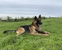 processed/1a42ffb0-bd20-4609-930f-1f0a8e7d6722/facility/3d4b5944-df85-4e48-8a10-f658bfcafdcf