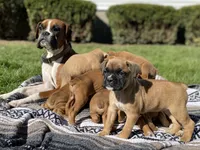 processed/1a42ffb0-bd20-4609-930f-1f0a8e7d6722/facility/aca898a3-d366-4365-8d75-5e1e27807dfd