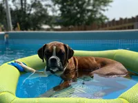 processed/1a42ffb0-bd20-4609-930f-1f0a8e7d6722/facility/cde3404f-0c15-4531-a11f-f93e22a14fbc