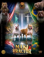 Bryanne of Tarth, a female American Bully for sale in Chicago, IL – 3 of 7