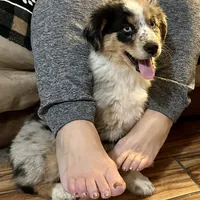 processed/1a514f1c-ca9d-4a09-9f32-f573235fe272/facility/1df257bf-cda6-44a4-812d-974e0819468f