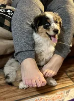 processed/1a514f1c-ca9d-4a09-9f32-f573235fe272/facility/1df257bf-cda6-44a4-812d-974e0819468f