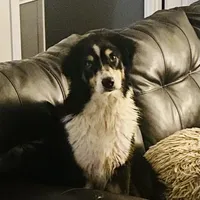 processed/1a514f1c-ca9d-4a09-9f32-f573235fe272/facility/47e11947-a083-4d50-9166-0599d00145a6