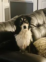 processed/1a514f1c-ca9d-4a09-9f32-f573235fe272/facility/47e11947-a083-4d50-9166-0599d00145a6