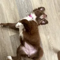 processed/1a514f1c-ca9d-4a09-9f32-f573235fe272/facility/7c417046-a314-4625-9892-019d8d3cd74d