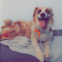 processed/1a514f1c-ca9d-4a09-9f32-f573235fe272/facility/8d8df8e4-c284-4e9e-a1d2-6d7d0c75ea9c