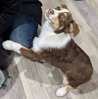 processed/1a514f1c-ca9d-4a09-9f32-f573235fe272/facility/992a1047-184d-4eab-8471-d91200583142