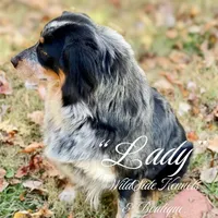 processed/1a514f1c-ca9d-4a09-9f32-f573235fe272/facility/a6bf53a6-343c-484f-ac67-fa8835772944