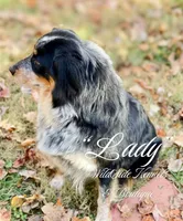 processed/1a514f1c-ca9d-4a09-9f32-f573235fe272/facility/a6bf53a6-343c-484f-ac67-fa8835772944