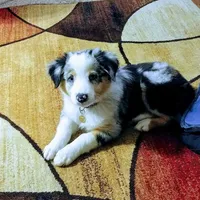 processed/1a514f1c-ca9d-4a09-9f32-f573235fe272/facility/dc4a4b2a-46fd-4ea2-a333-c167d2889687