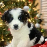 processed/1a514f1c-ca9d-4a09-9f32-f573235fe272/facility/f2ccb367-e3e8-448c-a54b-6cc8ae38b14e