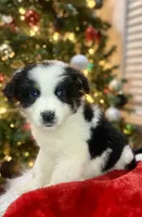 processed/1a514f1c-ca9d-4a09-9f32-f573235fe272/facility/f2ccb367-e3e8-448c-a54b-6cc8ae38b14e