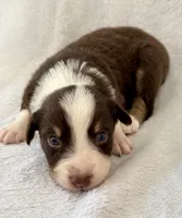 processed/1a514f1c-ca9d-4a09-9f32-f573235fe272/listing/032288e0-85d8-4101-8f27-cc7bb818be28/2aa1566a-4432-4bd7-9522-a098b675740f