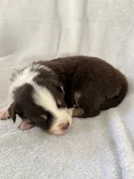 processed/1a514f1c-ca9d-4a09-9f32-f573235fe272/listing/032288e0-85d8-4101-8f27-cc7bb818be28/a1575681-3cbd-4d4a-acb6-f329c15b1fed