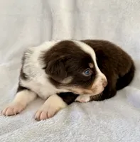 processed/1a514f1c-ca9d-4a09-9f32-f573235fe272/listing/032288e0-85d8-4101-8f27-cc7bb818be28/dfe376dc-5240-4cb5-b030-ca6f500a8542