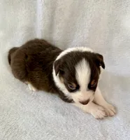 processed/1a514f1c-ca9d-4a09-9f32-f573235fe272/listing/68091592-6714-4b68-85c8-f3b841089cd4/4458c65e-fec1-4185-9728-732fd0bb913a