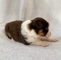 processed/1a514f1c-ca9d-4a09-9f32-f573235fe272/listing/68091592-6714-4b68-85c8-f3b841089cd4/4bc51067-ec47-4738-99ec-b5c073bea362