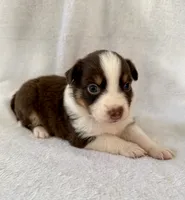 processed/1a514f1c-ca9d-4a09-9f32-f573235fe272/listing/68091592-6714-4b68-85c8-f3b841089cd4/5bf871af-644a-4326-a787-b9b086f16f6b