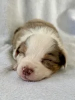 processed/1a514f1c-ca9d-4a09-9f32-f573235fe272/listing/8b6ac3fd-c18e-4a0f-9ad9-6d0ddf4730d7/8f8c4964-aef6-429b-92d1-39a5aa7fd4eb