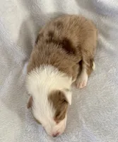 processed/1a514f1c-ca9d-4a09-9f32-f573235fe272/listing/8b6ac3fd-c18e-4a0f-9ad9-6d0ddf4730d7/9949d8b8-c907-4557-a854-8c15b1cf0451