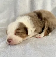 processed/1a514f1c-ca9d-4a09-9f32-f573235fe272/listing/8b6ac3fd-c18e-4a0f-9ad9-6d0ddf4730d7/b293fbf5-c0a4-4db2-9a5b-b2483f236578