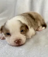 processed/1a514f1c-ca9d-4a09-9f32-f573235fe272/listing/8b6ac3fd-c18e-4a0f-9ad9-6d0ddf4730d7/b9e46be5-cf69-46b0-9f11-4875a59016f0