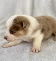 processed/1a514f1c-ca9d-4a09-9f32-f573235fe272/listing/acc3fcb5-4502-4db3-9597-6c318163aacf/1cf20b1d-90e2-4efd-8533-d1d465c29b43