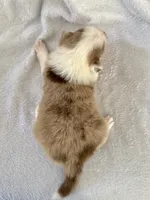 processed/1a514f1c-ca9d-4a09-9f32-f573235fe272/listing/acc3fcb5-4502-4db3-9597-6c318163aacf/40002df0-59e9-43ac-81e9-f9a603d38b44