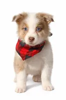 processed/1a514f1c-ca9d-4a09-9f32-f573235fe272/listing/acc3fcb5-4502-4db3-9597-6c318163aacf/53d42fd3-68cf-4d8f-b6b5-203170b23851