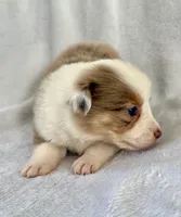 processed/1a514f1c-ca9d-4a09-9f32-f573235fe272/listing/acc3fcb5-4502-4db3-9597-6c318163aacf/90d22608-617d-4b8a-93f3-0a0834c74c4d