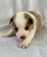 processed/1a514f1c-ca9d-4a09-9f32-f573235fe272/listing/acc3fcb5-4502-4db3-9597-6c318163aacf/c77468ac-03d7-4fda-a594-c9cb0c66efe7