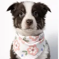 Moxxie, a female Australian Shepherd for sale in La Grange, NC – Photo 1 of 5