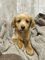 processed/1a53ca95-bb0a-4ea1-b35a-cd023a72ee2c/listing/1adf3bdb-844a-4b7f-80f2-07f08ef8b215/cbed5022-730f-40dd-9e3e-fb1b28063f10