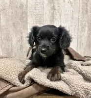 processed/1a53ca95-bb0a-4ea1-b35a-cd023a72ee2c/listing/c5a3832b-95d0-486b-a74c-912f085641ce/1b502587-5a44-492a-a159-b48006fb9abf