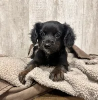 processed/1a53ca95-bb0a-4ea1-b35a-cd023a72ee2c/listing/c5a3832b-95d0-486b-a74c-912f085641ce/79f63799-decb-4fdf-bdfc-f7220bd334c6