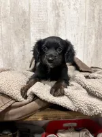 processed/1a53ca95-bb0a-4ea1-b35a-cd023a72ee2c/listing/c5a3832b-95d0-486b-a74c-912f085641ce/c14001ac-9bb1-41b9-a04f-ed7cd3be47cc