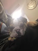 processed/1a53e88c-de29-45cb-af77-e239c08cf67b/listing/9c1c28db-1a8f-40b0-8d91-f3d5b3b3927e/1eefa29a-2c0d-4b5e-bf6b-8b115d87244c