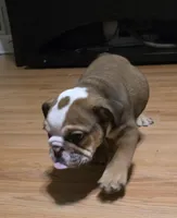 processed/1a53e88c-de29-45cb-af77-e239c08cf67b/listing/9c1c28db-1a8f-40b0-8d91-f3d5b3b3927e/a90deb91-370f-4026-b5e5-5babce181259