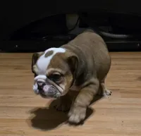 processed/1a53e88c-de29-45cb-af77-e239c08cf67b/listing/9c1c28db-1a8f-40b0-8d91-f3d5b3b3927e/af2598c8-bcf5-4667-a21d-4e7dc947ec8c