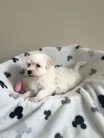 processed/1a5e35fb-9aa2-498f-bef8-1a5ecda8d45b/facility/b78e2b9c-a101-4986-8050-2f1b71a5bd5e