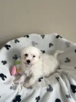 processed/1a5e35fb-9aa2-498f-bef8-1a5ecda8d45b/facility/bfa8854d-af7d-4ab1-9db7-971d54c7cad8