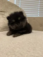 processed/1a601101-d7a9-475f-9bb8-36565644350b/listing/97dd50dc-4356-4b44-89e4-319d04804f60/4a3af948-d9e6-41fd-b654-400b70246cf6