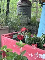 processed/1a6042da-145c-48f3-a987-9421bf90a490/facility/651befa7-00e4-4a5f-aedd-d7c4117a7b9c