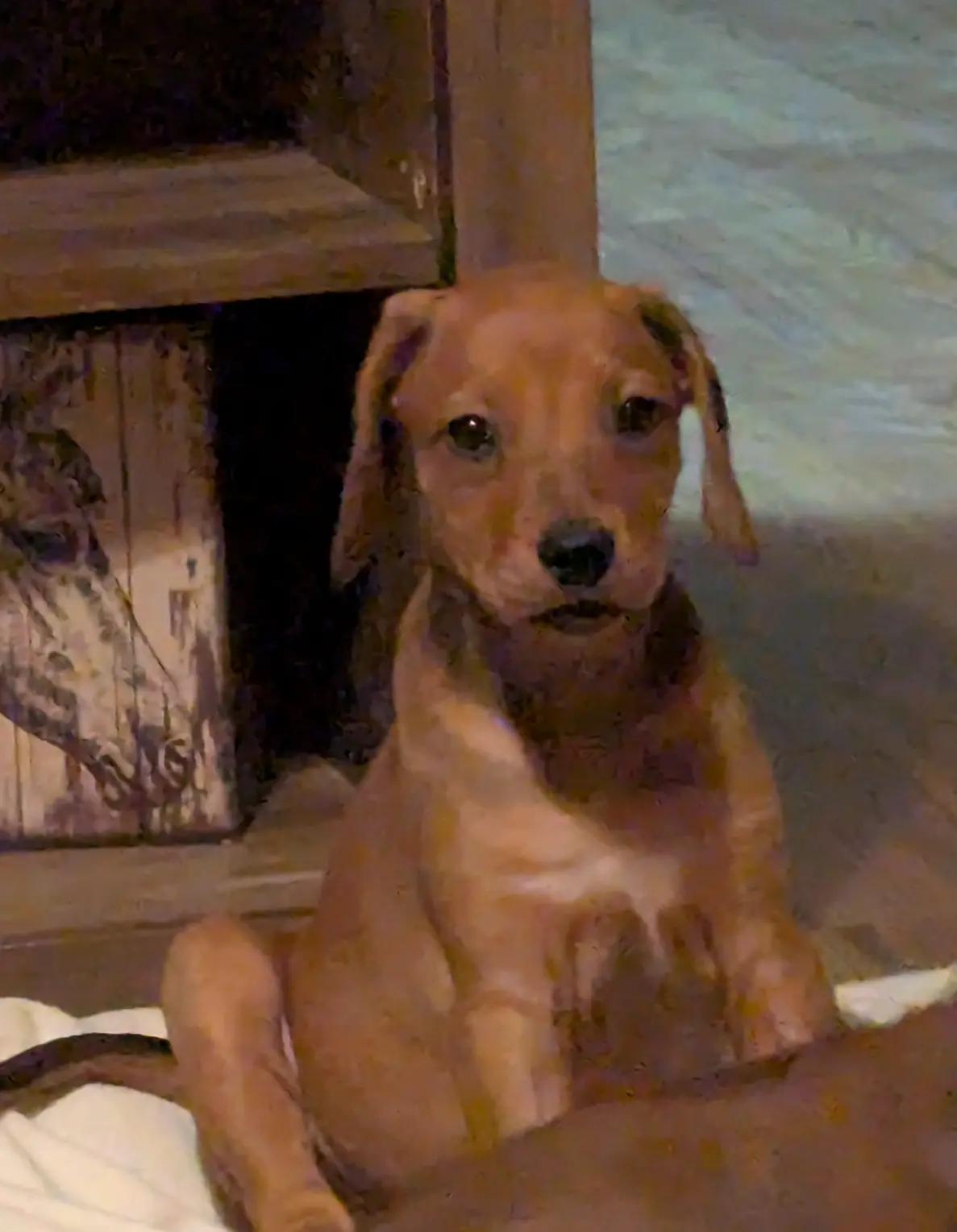 processed/1a7adad4-0c41-4b7c-8483-6a666d84ee0d/listing/f5cb395a-39e3-45d1-8c0d-359420d5b441/3de7b62a-9d5b-4565-bdfd-8b1dc4960b5d