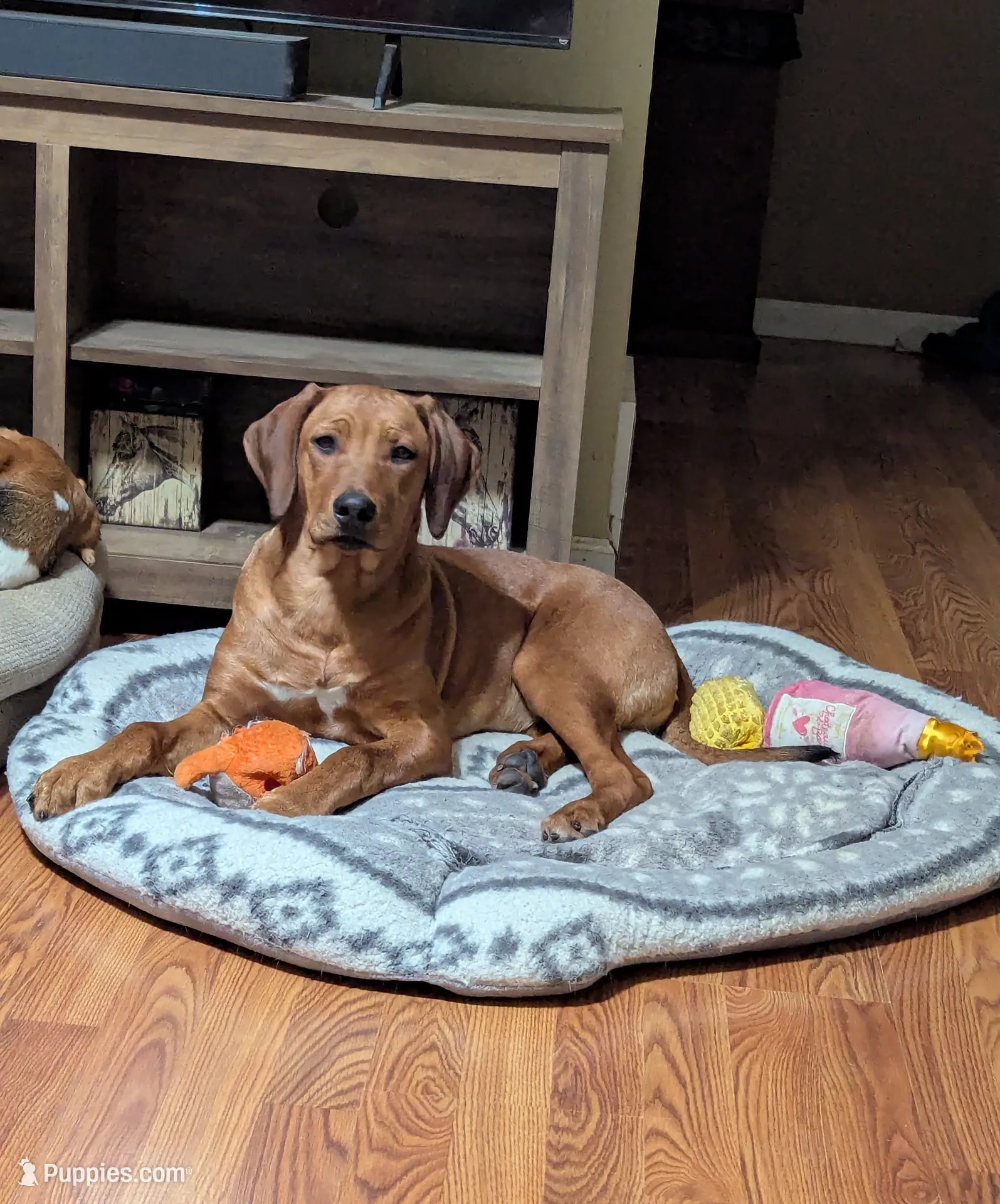 processed/1a7adad4-0c41-4b7c-8483-6a666d84ee0d/listing/f5cb395a-39e3-45d1-8c0d-359420d5b441/ea68767b-4f9f-405d-9597-f267c2daf6f2