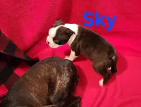 processed/1a7be0ce-149b-4d26-a017-4ebb4e40b9c3/listing/54417ad3-6bc9-40e4-979a-4ce5efcf9de8/19e19878-8196-4140-aae6-2f23336dd90e