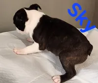 processed/1a7be0ce-149b-4d26-a017-4ebb4e40b9c3/listing/54417ad3-6bc9-40e4-979a-4ce5efcf9de8/53d7cba6-2b09-479e-a083-f7ae8f5915f0