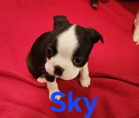 processed/1a7be0ce-149b-4d26-a017-4ebb4e40b9c3/listing/54417ad3-6bc9-40e4-979a-4ce5efcf9de8/8d5b4925-0aa2-422d-b64e-1e5b451de9b4