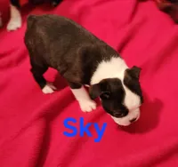 processed/1a7be0ce-149b-4d26-a017-4ebb4e40b9c3/listing/54417ad3-6bc9-40e4-979a-4ce5efcf9de8/97e0d896-ee9d-4632-8b4b-766f15891227